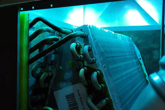 UV Light Installation Service UV Light Installation Service