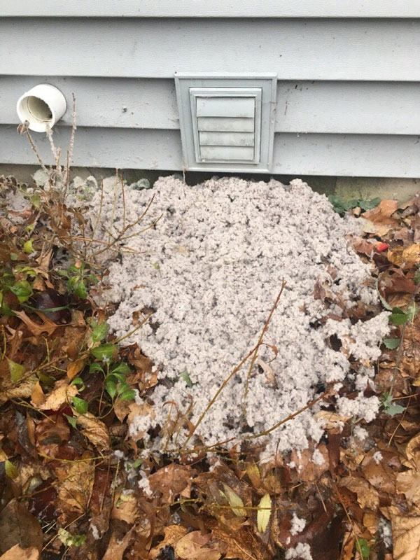 Dryer Vent Cleaning in Chicago